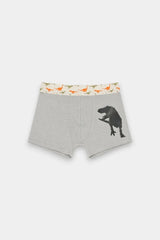 Boys Boxers (Pack of 3) - Dino - Savys Retail -
