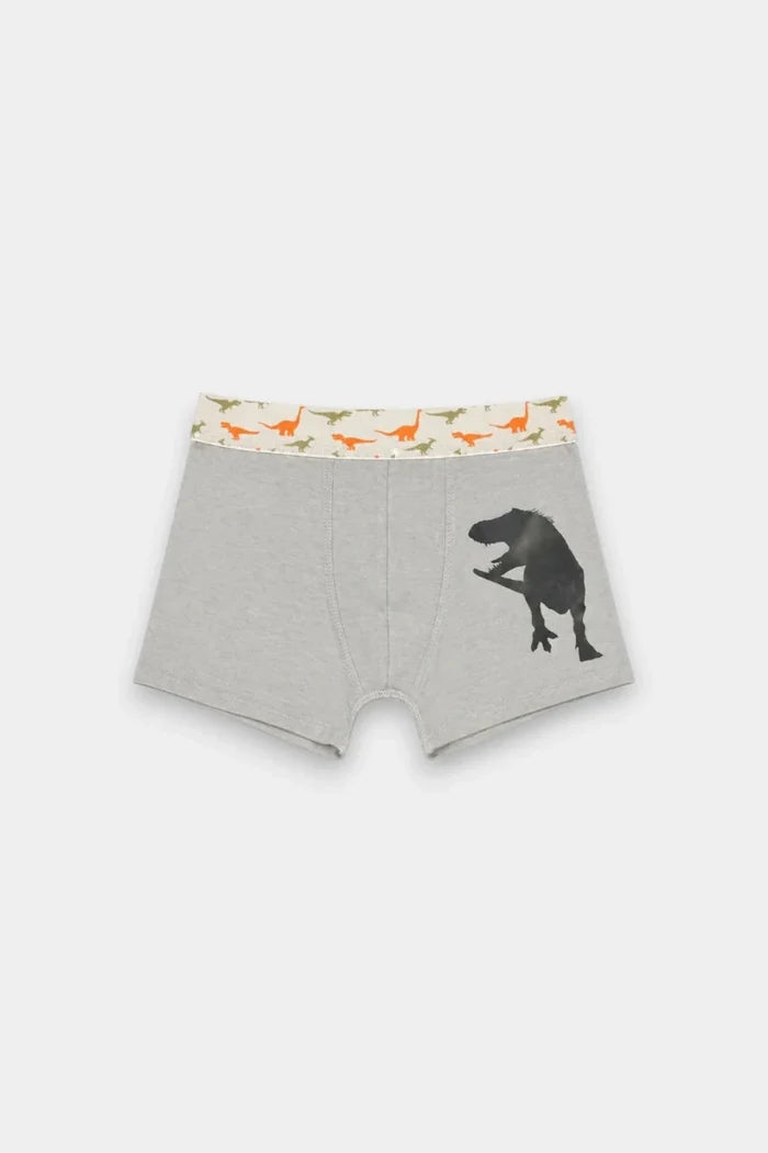 Boys Boxers (Pack of 3) - Dino - Savys Retail -