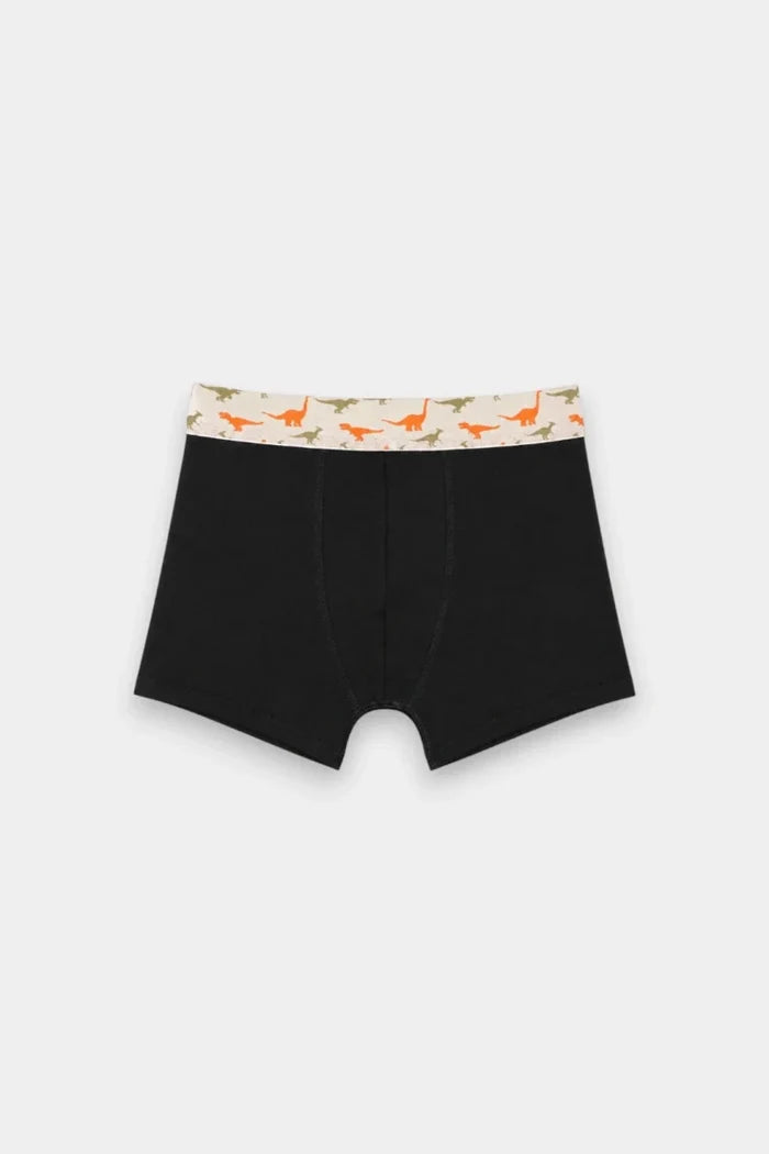 Boys Boxers (Pack of 3) - Dino - Savys Retail -